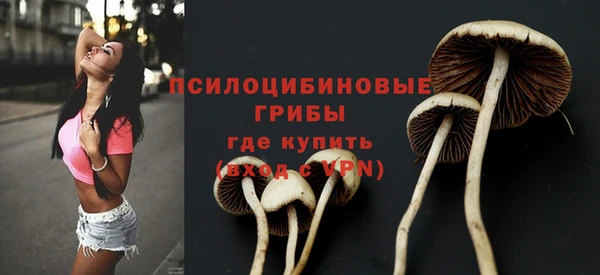 a pvp Белокуриха
