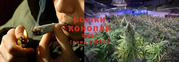a pvp Белокуриха