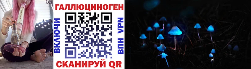 Галлюциногенные грибы Psilocybine cubensis  Кумертау 